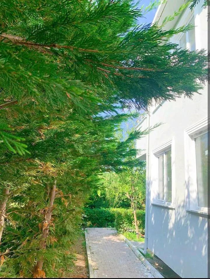 Orman Breakfast Hotel Is 6 Minutes Away From The Airport Arnavutkoy 0*,